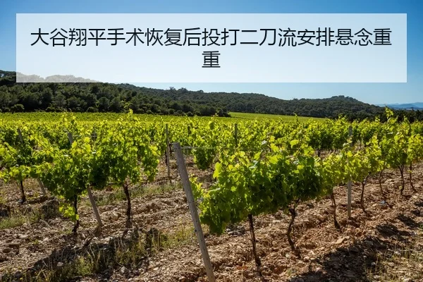 大谷翔平手术恢复后投打二刀流安排悬念重重