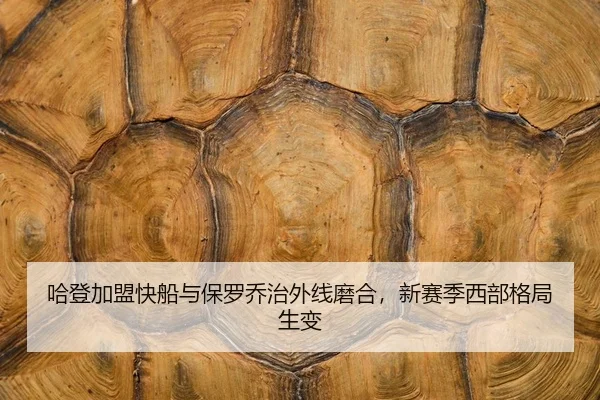 ha-deng-jia-meng-kuai-chuan-yu-bao-luo-qiao-zhi-wai-xian-mo-he-xin-sai-ji-xi-bu-ge-ju-sheng-bian-2-977.jpg