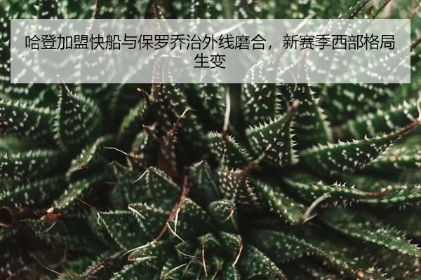 ha-deng-jia-meng-kuai-chuan-yu-bao-luo-qiao-zhi-wai-xian-mo-he-xin-sai-ji-xi-bu-ge-ju-sheng-bian-3-148.jpg