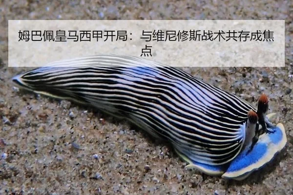 mu-ba-pei-huang-ma-xi-jia-kai-ju-yu-wei-ni-xiu-si-zhan-shu-gong-cun-cheng-jiao-dian-3-382.jpg