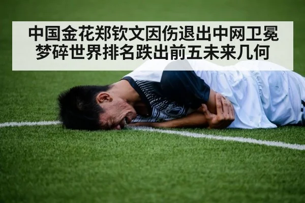 中国金花郑钦文因伤退出中网卫冕梦碎世界排名跌出前五未来几何